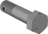 Hex Head Screws