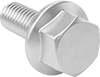 Aluminum Flanged Hex Head Screws