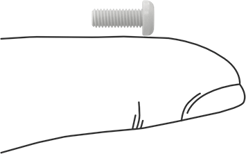 Image of Product. Side1 orientation. Contains SizingReference. Chemical-Resistant High-Temperature PTFE Plastic Screw, Pan Head Slotted, M3 x 0.5 mm Thread Size, 8 mm Long.