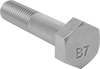 Hex Head Screws