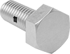 Hex Head Screws