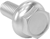 Brass Flanged Hex Head Screws