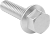 Aluminum Flanged Hex Head Screws