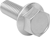 Low-Strength Steel Flanged Hex Head Screws