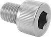 Socket Head Screws