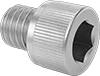 Sealing Socket Head Screws