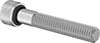 Sealing Socket Head Screws