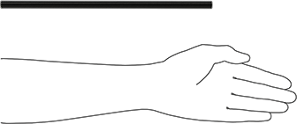 Image of Product. Side1 orientation. Contains SizingReference. Grade B7 Medium-Strength Steel Threaded Rod, Fine-Thread, M12 x 1.25 mm Thread, 300 mm Long.