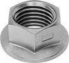 Flange Nuts