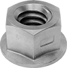Flange Nuts