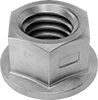 Flange Nuts