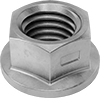 Flange Nuts