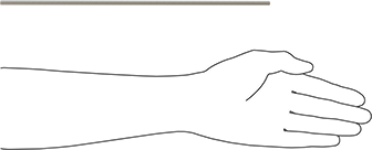 Image of Product. Side1 orientation. Contains SizingReference. 18-8 Stainless Steel Threaded Rod, 12-24 Thread Size, 1 Foot Long.