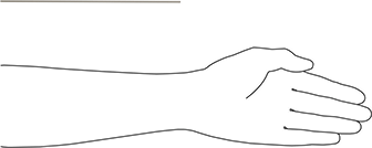Image of Product. Side1 orientation. Contains SizingReference. 18-8 Stainless Steel Threaded Rod, 2-56 Thread Size, 8" Long.