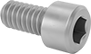 Titanium Socket Head Screws