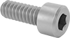Titanium Socket Head Screws