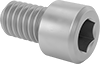 Titanium Socket Head Screws