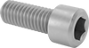 Titanium Socket Head Screws