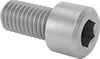 Socket Head Screws