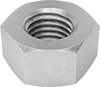 Hex Nuts