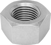 Hex Nuts