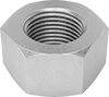 Hex Nuts