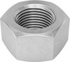 Hex Nuts
