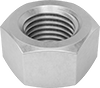 Hex Nuts
