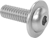 Rounded Head Screws