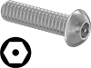 Metric Stainless Steel Tamper-Resistant Button Head Hex Drive Screws