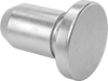 Captive Pins