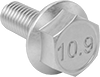 Hex Head Screws