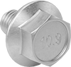 JIS Steel Flanged Hex Head Screws