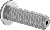 Rounded Head Screws
