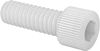 Socket Head Screws