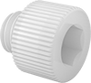 Socket Head Screws