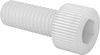 Plastic Socket Head Screws