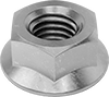 Flange Nuts