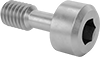 Captive Panel Screws
