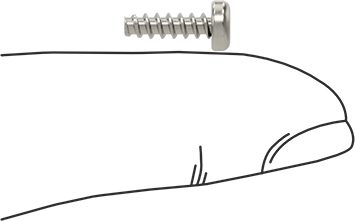 Image of Product. Side1 orientation. Contains SizingReference. Torx Plus Rounded Head Thread-Forming Screws, for Plastic, 18-8 Stainless Steel, Number 4 Size, 3/8" Long.