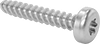 Stainless Steel Torx Plus Rounded Head Thread-Forming Screws for Plastic