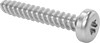 Stainless Steel Torx Plus Rounded Head Thread-Forming Screws for Plastic