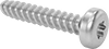 Stainless Steel Torx Rounded Head Thread-Forming Screws for Plastic