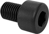 Socket Head Screws