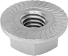 Serrated Flange Nuts