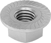 Flange Nuts