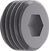 Die Spring Screw Caps