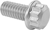 12-Point Screws