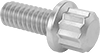 12-Point Screws