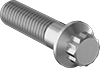 Stainless Steel 12-Point Screws